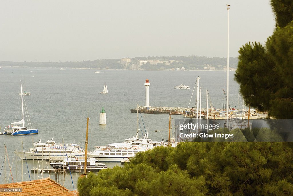 High angle view of ships at a harbor, Vieux Port, Cote d'Azur, Cannes, Provence-Alpes-Cote D'Azur, France
