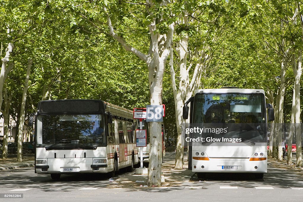 Buses on the road, Quinconces Station, Bordeaux, Aquitaine, France