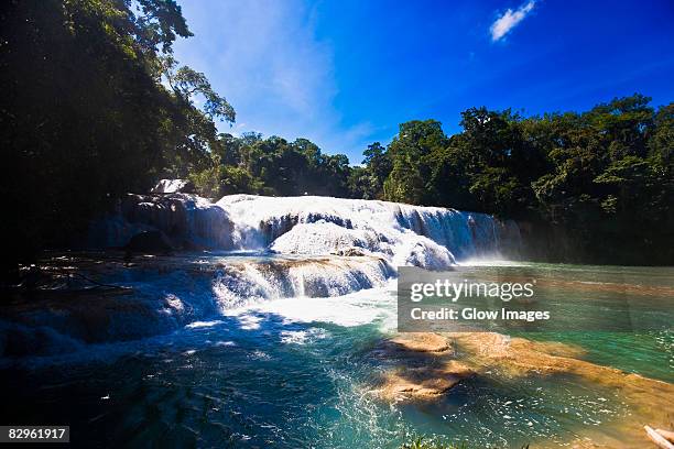 waterfall in a forest, agua azul waterfalls, chiapas, mexico - agua azul stock-fotos und bilder