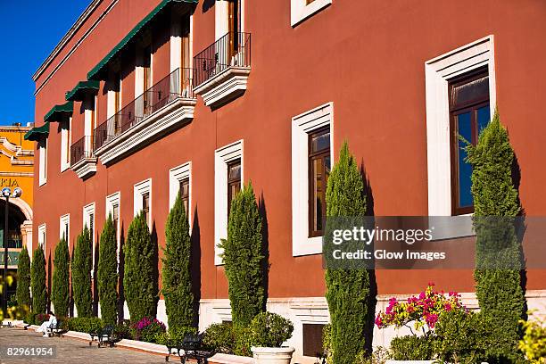 trees in front of a government building, palacio de gobierno, aguascalientes, mexico - merida mexico stock pictures, royalty-free photos & images