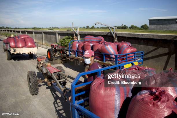 Amru Rice 63 Processing At The Amru Rice Co Mill Stock Photos, High-Res Pictures ...