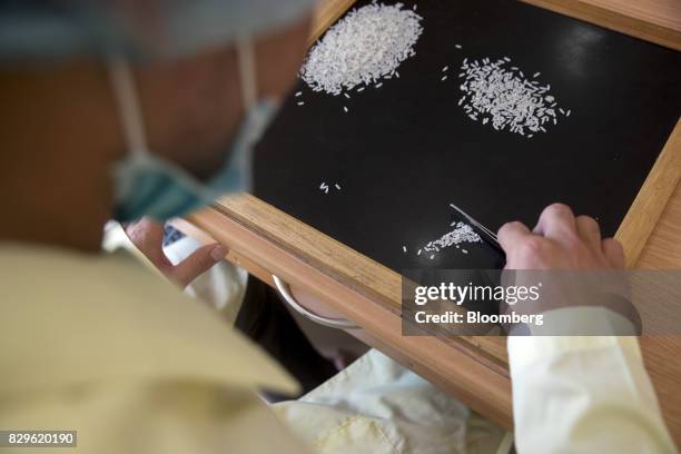 Quality Control Rice 63 Amru Rice Co Stock Photos, High-Res Pictures, and Images - Getty Images
