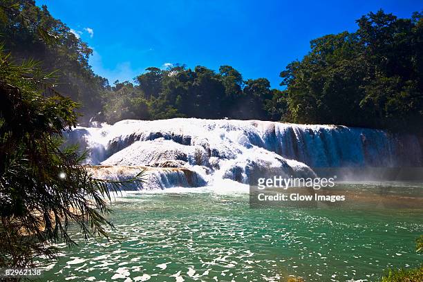 waterfall in a forest, agua azul waterfalls, chiapas, mexico - agua azul stock pictures, royalty-free photos & images