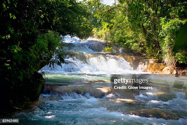 waterfall in a forest, agua azul waterfalls, chiapas, mexico - agua azul stock-fotos und bilder