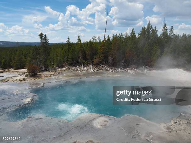 Spring Cistern 482 Cistern Spring Stock Photos, High-Res Pictures, and Images - Getty ...