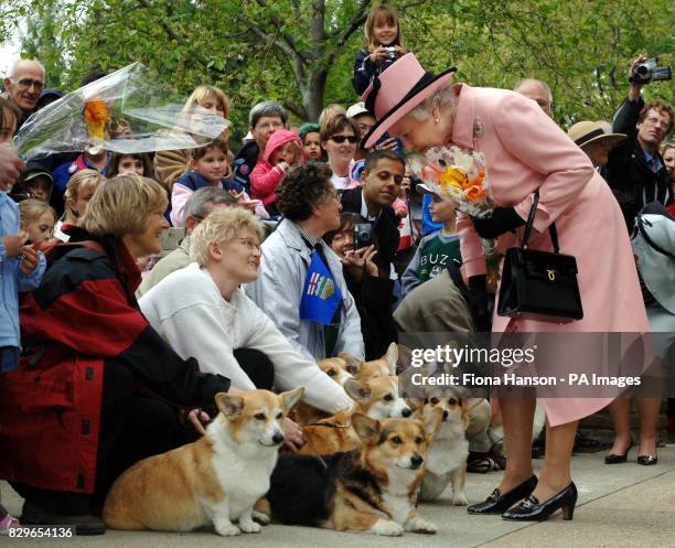 Britain's Queen Elizabeth II is greeted by local corgi enthusiasts as she departs the Legislature Building.