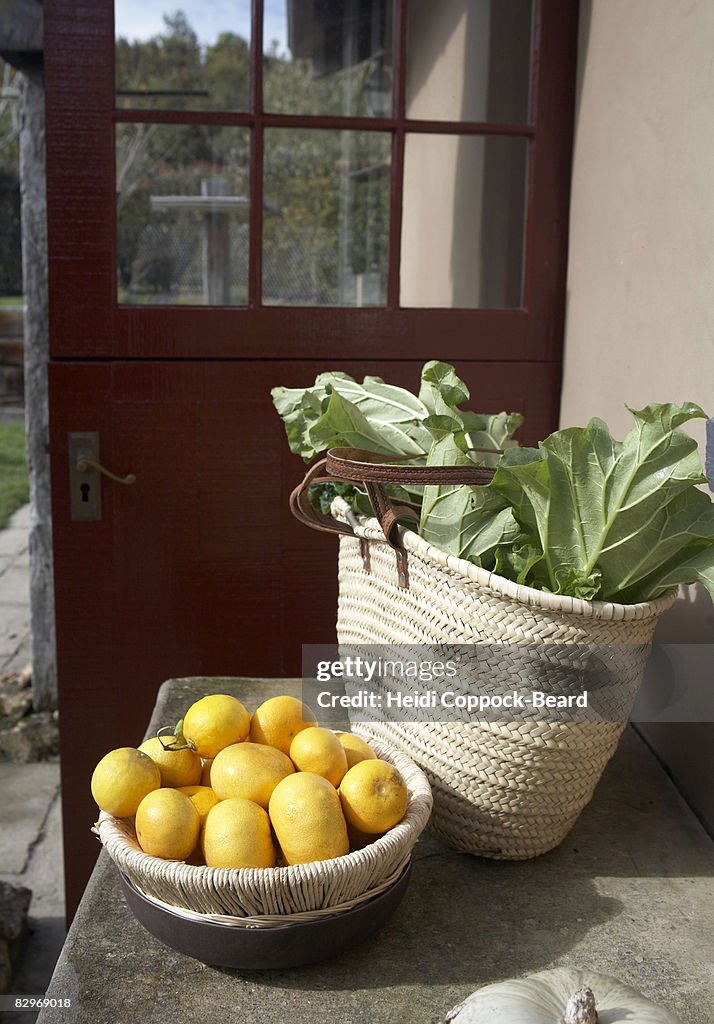 Freshly picked Grapefruits and rhubarb