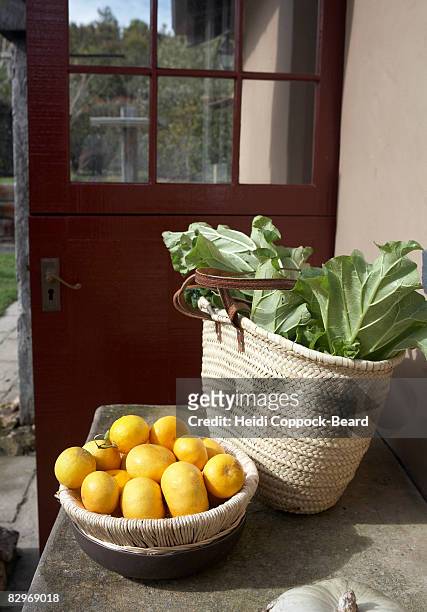 freshly picked grapefruits and rhubarb - heidi coppock beard stock pictures, royalty-free photos & images