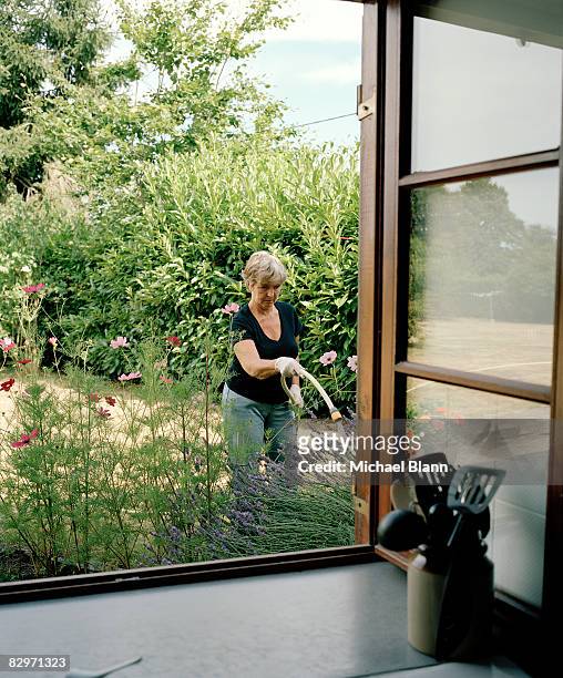 woman watering plants in garden - nature photos et images de collection