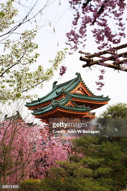 temple with cherry blossom - kioto prefectuur stockfoto's en -beelden