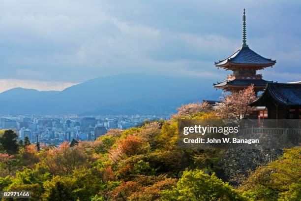 view of temple - préfecture de kyoto photos et images de collection