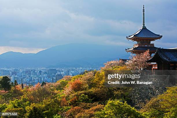 view of temple - kioto prefectuur stockfoto's en -beelden