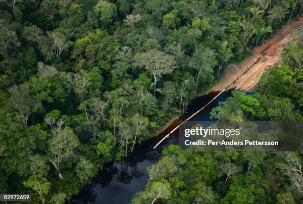 pipeline under construction in rainforest - bundesstaat amazonas brasilien stock-fotos und bilder