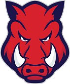 Wild hog or boar head mascot
