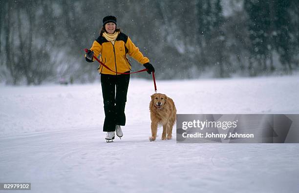 woman ice-skating with dog - anchorage foto e immagini stock