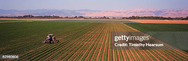 tractor cultivating rows of beans - agricultural equipment stock pictures, royalty-free photos & images
