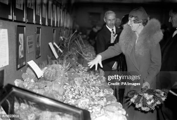 THE EARL AND COUNTESS OF ATHLONE AT THE SOUTH AFRICAN WILD FLOWER EXHIBITION: THE COUNTESS INSPECTING ONE OF THE ROCK GARDENS IN THE EXHIBITION. 24TH...