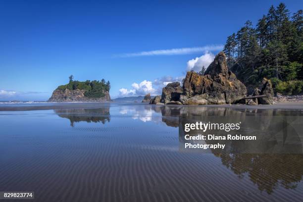 ruby beach at low tide, olympic peninsula, washington state - ruby beach stock pictures, royalty-free photos & images