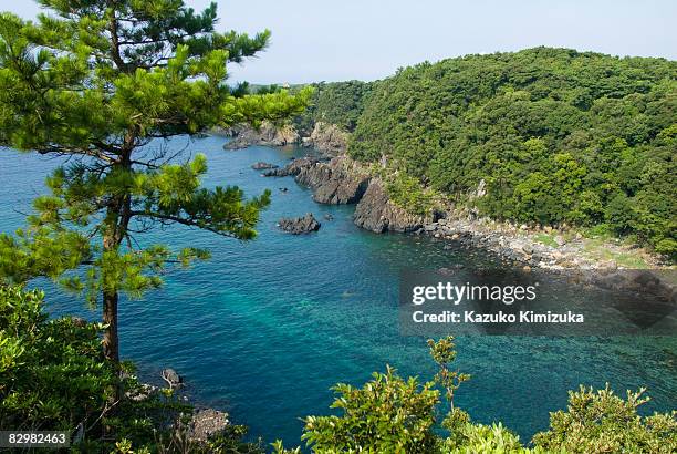 the sea of yakushima - kazuko kimizuka stockfoto's en -beelden