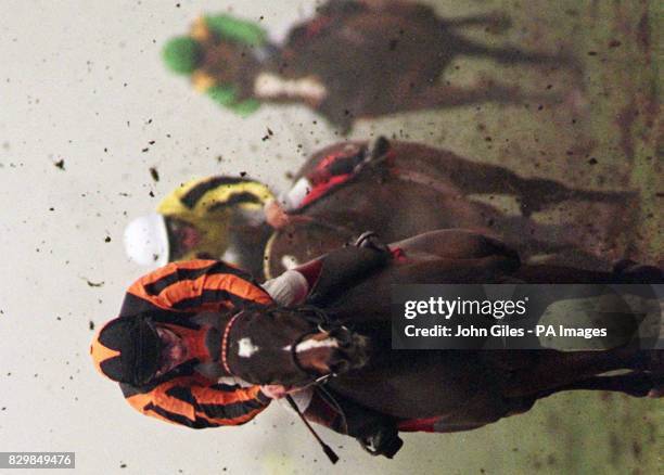 Seb Spencer Racing 45 Seb Saunders Stock Photos, High-Res Pictures, and Images - Getty Images