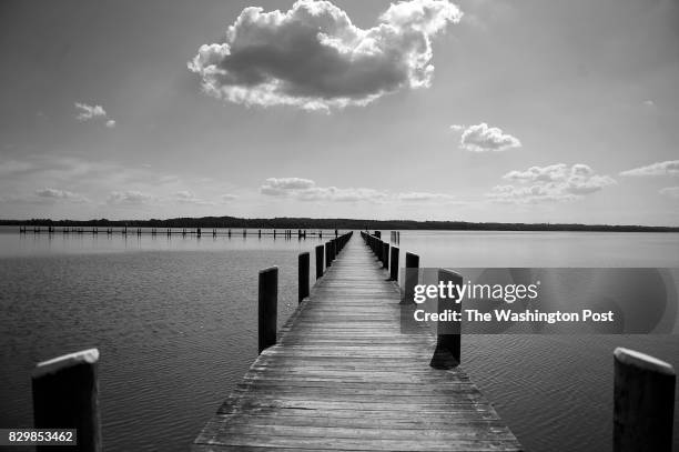 The pier at Wicomico Shores Waterfront Park at the Wicomico River in St. Marys County, MD, August 9 offers fishing and crabbing opportunities. Much...