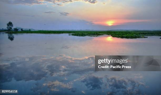 Shot of Dal Lake at sunset. Shot taken from a Shikara .