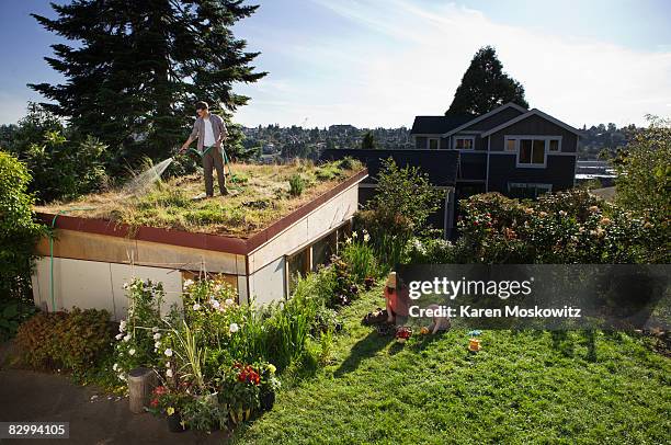 man watering green roof with family in yard - seattle homes stock pictures, royalty-free photos & images