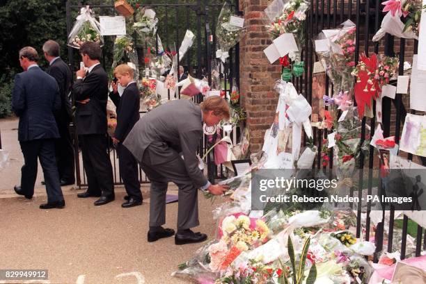 Prince William lays flowers given by a wellwisher in amongst the hunderds of bunches already laid outside Kensington Palace - his mother Diana,...