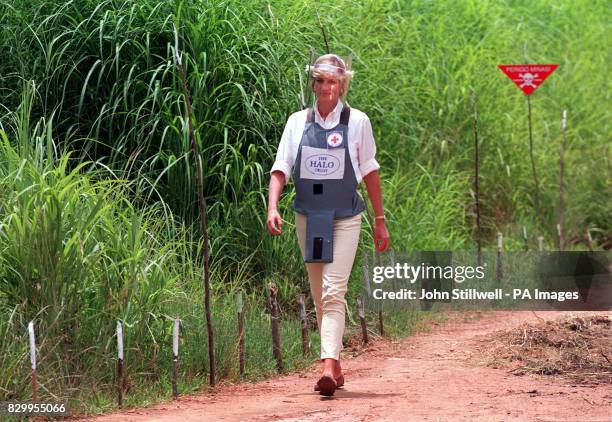 The future of the Diana, Princess of Wales Memorial Fund set up after her death is under threat. It has frozen all its grants to beneficiaries and...