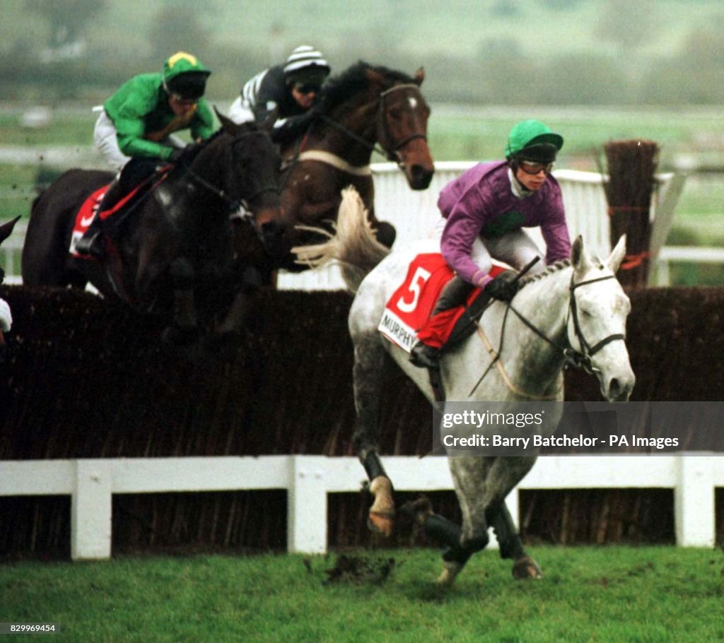 RACING Cheltenham 01