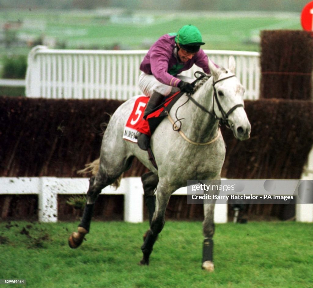 Senor/Cheltenham 02