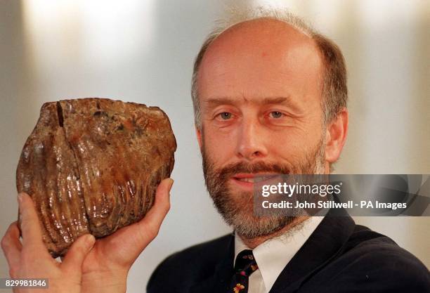 Professor of Archaeology at Cambridge Martin Jones holds a 50 thousand year-old Mammouth tooth which is the oldest exhibit at the Ancient...