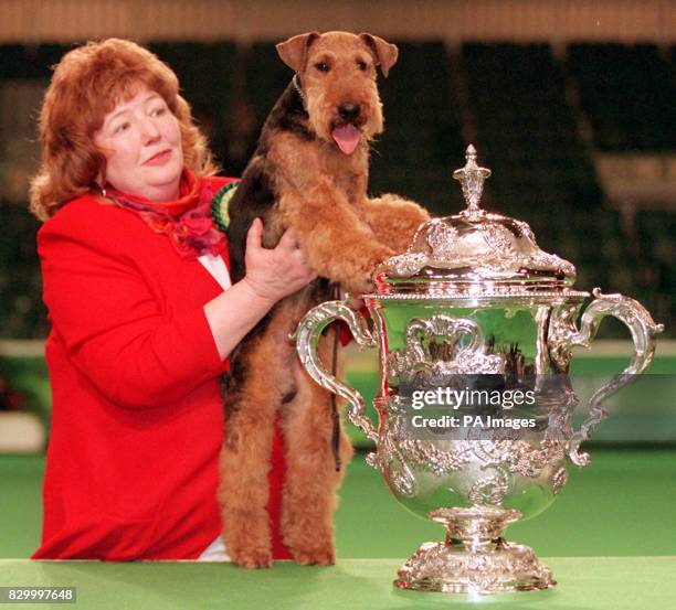 Crufts 1998. 08/03/98 : Mel, a two-year-old Welsh terrier, was named top dog at Crufts tonight after winning the prestigious Best in Show award. The...