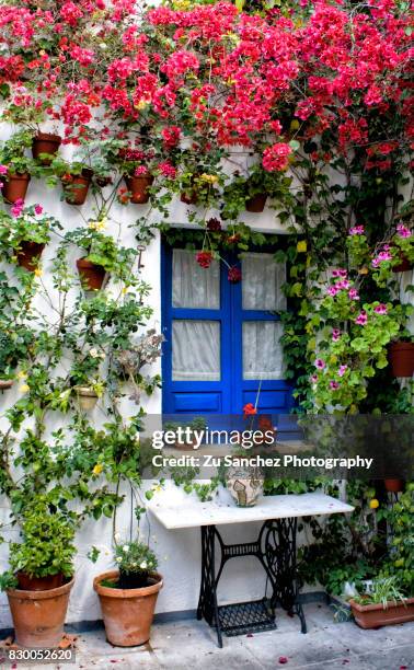 andalusian window - córdoba spanien bildbanksfoton och bilder