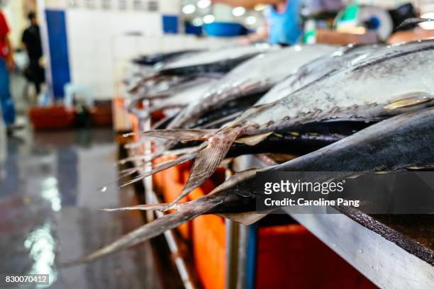 tails of fishes. - ahi tuna bildbanksfoton och bilder