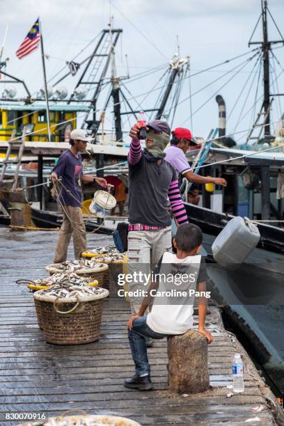pier workers helping trawlers to unload fresh catch. - sabah flag stock pictures, royalty-free photos & images