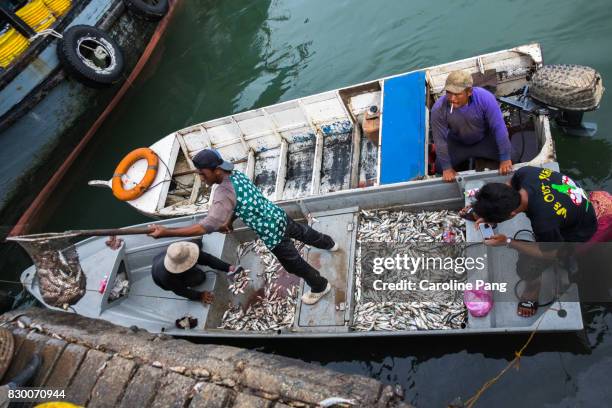 Unloading Fish 239 Unloading Tuna Stock Photos, High-Res Pictures, and Images - Getty ...
