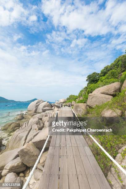 wooden bridge to viewpoint at nangyuan island, surat thani province, southern of thailand. - steinschlag stock-fotos und bilder
