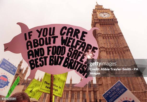 Pigs Protesting 101 Trayler Stock Photos, High-Res Pictures, and Images - Getty Images