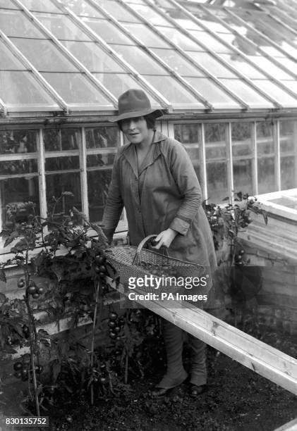 Actress Lady de Bathe, formerly Lillie Langtry, at work on a farm near Newmarket.