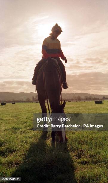 Florida Pearl, the Tote Cheltenham Gold Cup favourite, with trainer's wife Jackie Mullins, on the course at Cheltenham the day before the start of...