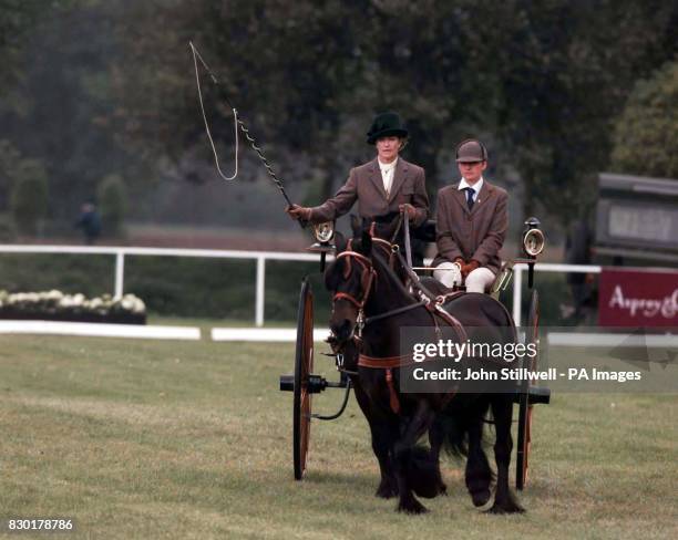 Lady Romsey drives her pony tandem cart at the Royal Windsor Horse Show at Windsor, Berkshire.
