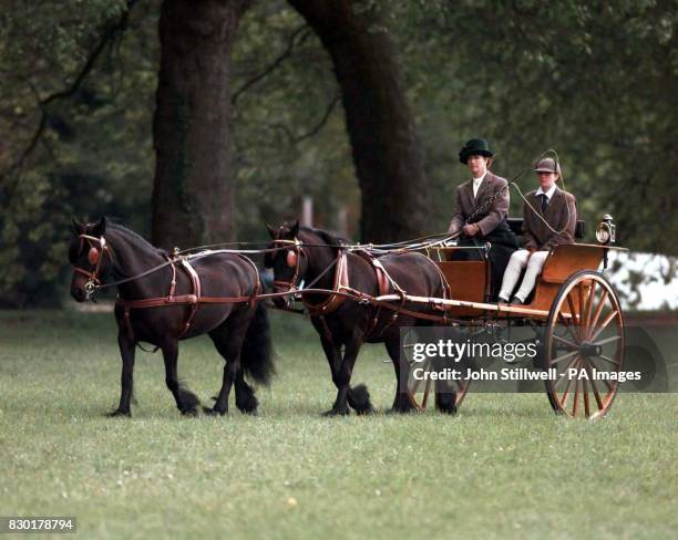Lady Romsey drives her pony tandem cart at the Royal Windsor Horse Show at Windsor, Berkshire.