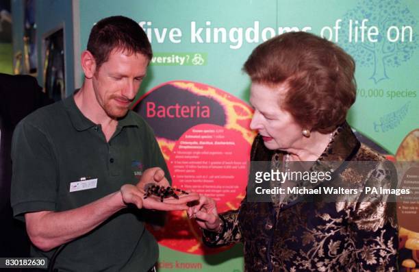 Former Conservative Prime Minister Baroness Margaret Thatcher shows no fear for a Mexican red kneed bird eating spider named "Sharon" exhibited by...