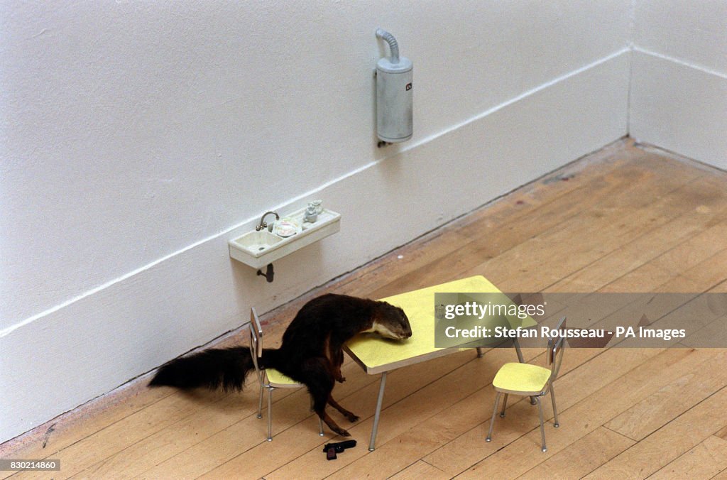 Tate exhibition/Cattelan/Squirrel