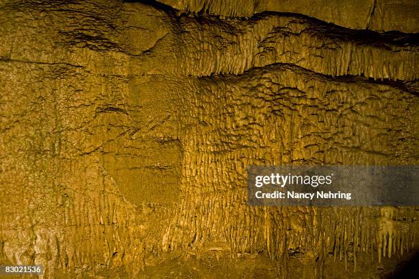 frozen niagara, mammoth cave - mammoth cave stock pictures, royalty-free photos & images