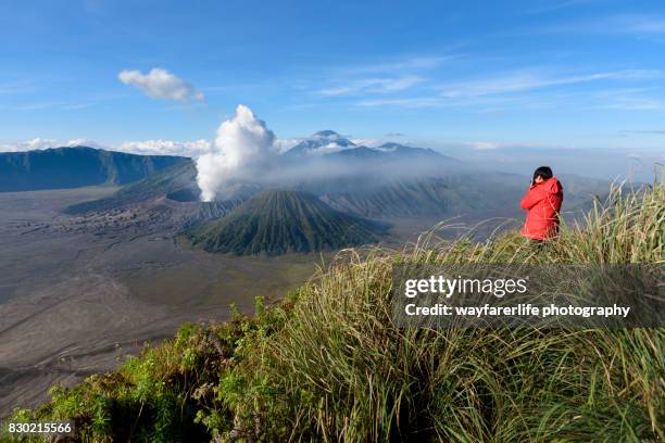one man looking at the  view of mt.bromo, indonesia - surabaya bildbanksfoton och bilder
