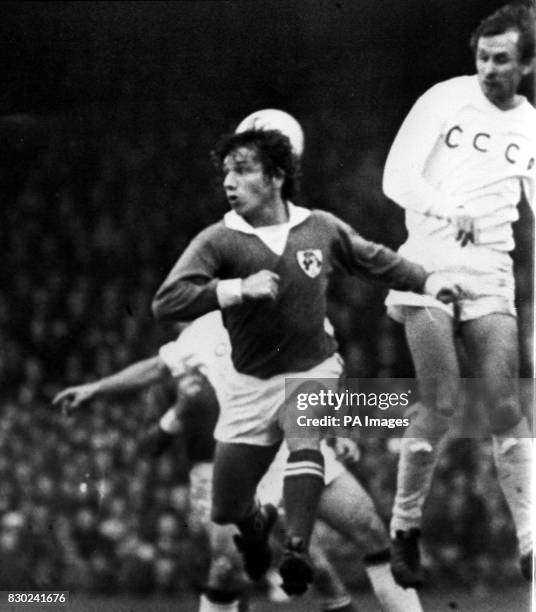 36 Ray Treacy Photos & High Res Pictures - Getty Images