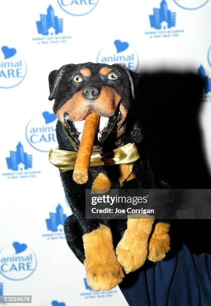 Triumph, the Insult Comic Dog attends the Animal Care Affair Gala at Pressure on September 25, 2008 in New York City.