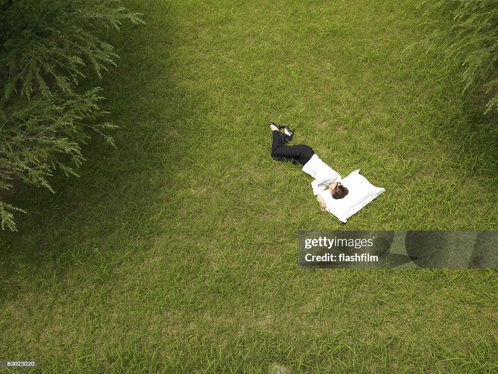 Japonés bussiness Mujer durmiendo en el parque